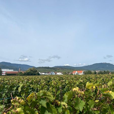 Oasis Tout Confort A Bergheim, Alsace Exterior foto