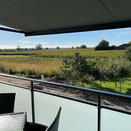 Oasis Tout Confort A Bergheim, Alsace Exterior foto