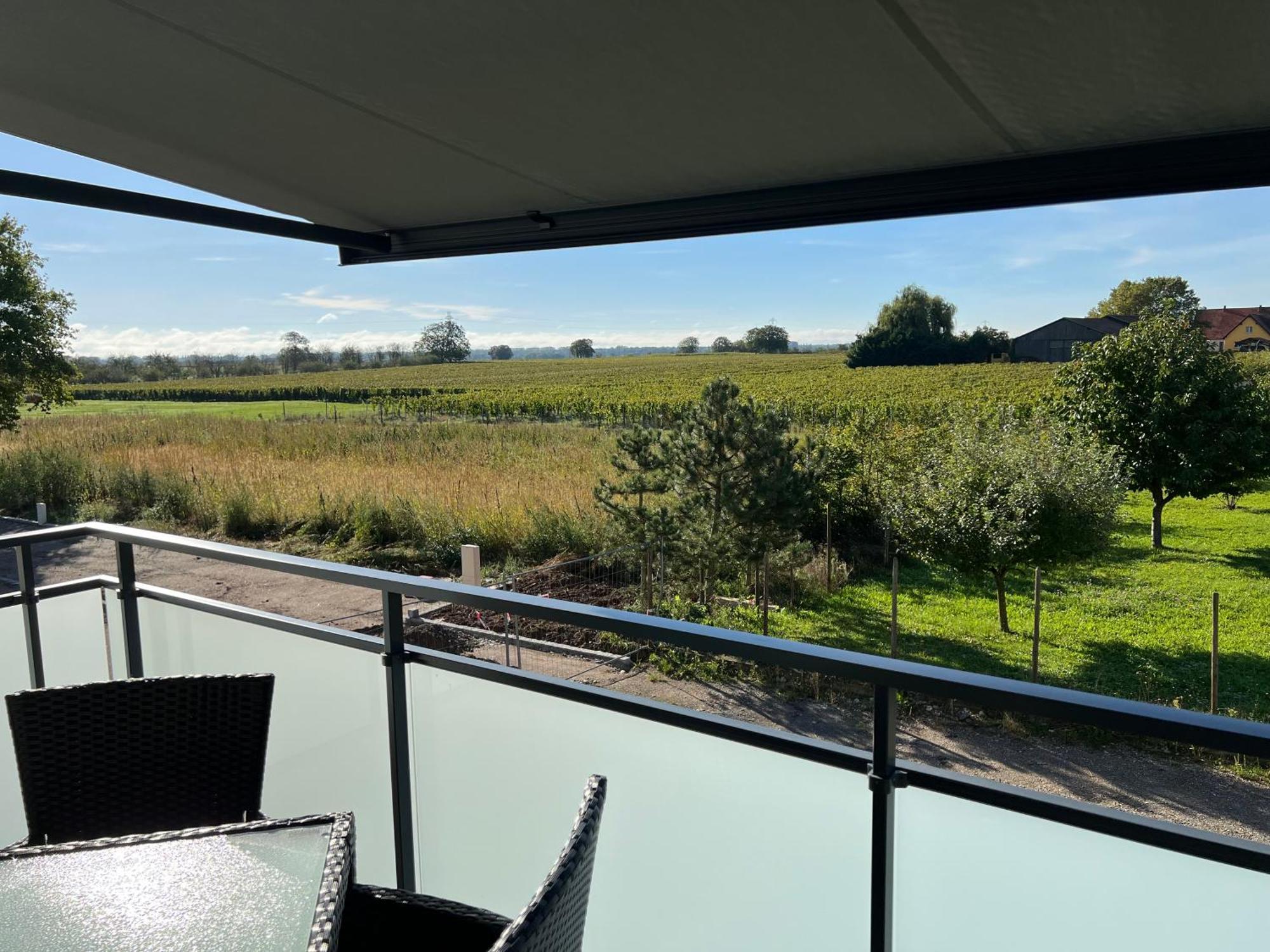 Oasis Tout Confort A Bergheim, Alsace Exterior foto